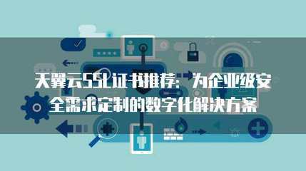 企業(yè)級服務器租用與互聯(lián)網(wǎng)安全定制服務 一站式解決方案